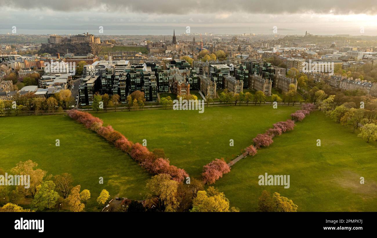 Aerial view of Edinburgh's Meadows in bloom Stock Photo Alamy