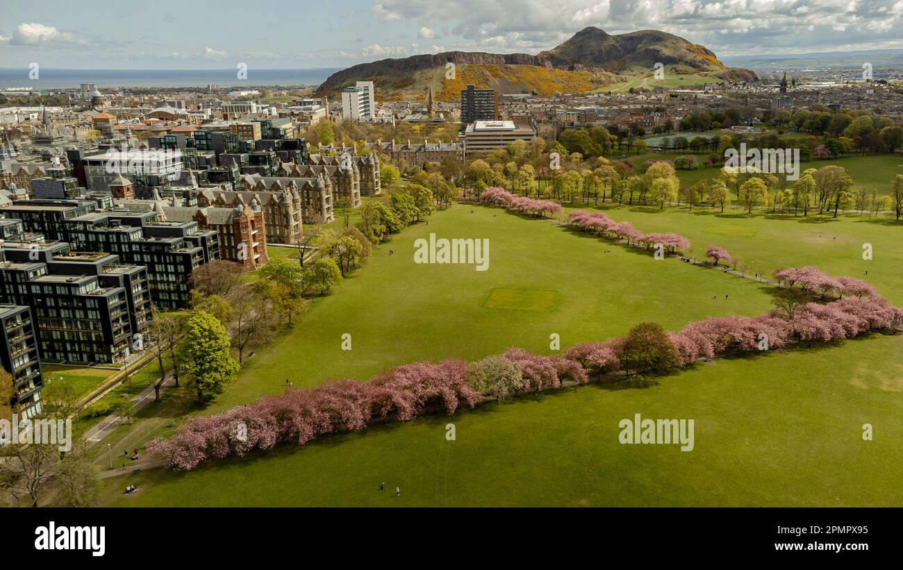 Aerial view of Edinburgh's Meadows in bloom Stock Photo Alamy