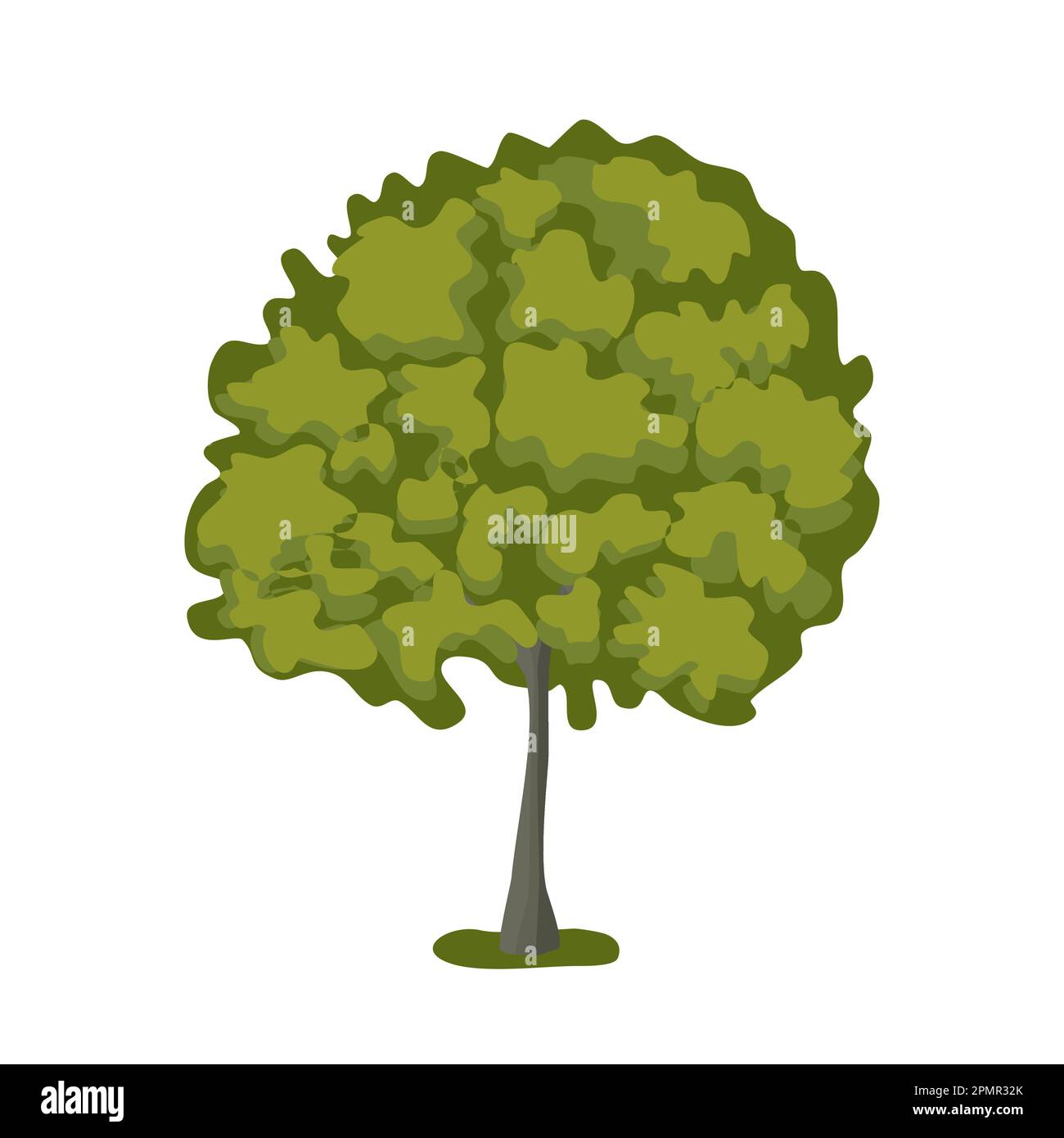 Basswood tree with lush crown, flat style vector illustration Stock Vector