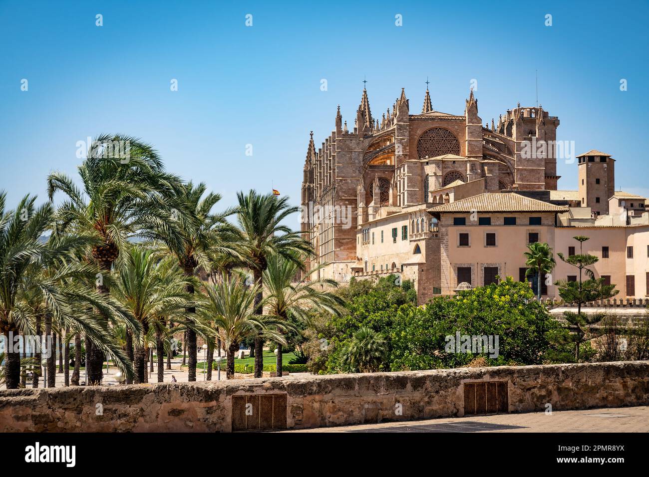 Rear view of The Cathedral of Santa Maria of Palma with palm trees Stock Photo