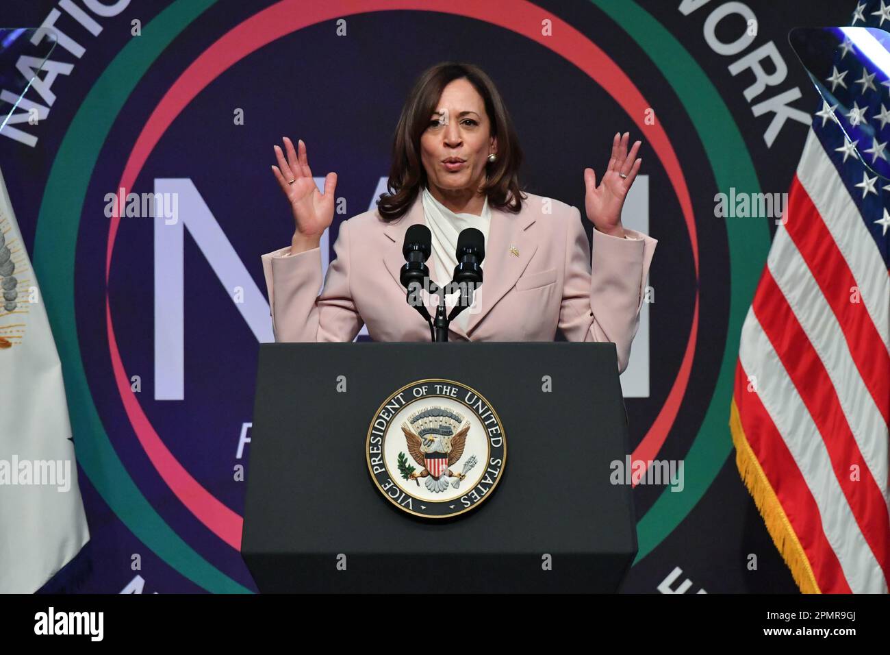 Vice President Kamala Harris speaks at the National Action Network (NAN