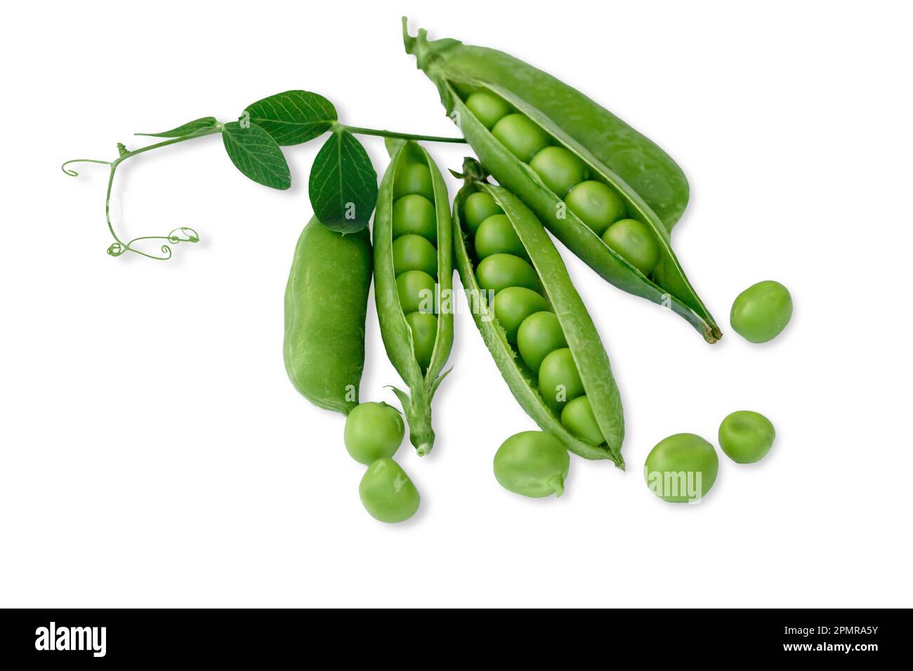 Fresh green pea pods and peas isolated on the white background Stock