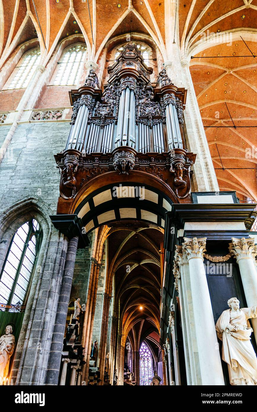The great organ built in 1935 by Klais is the biggest of the Benelux. St Bavo's Cathedral, interior. Ghent, East Flanders, Flemish Region, Belgium, Eu Stock Photo