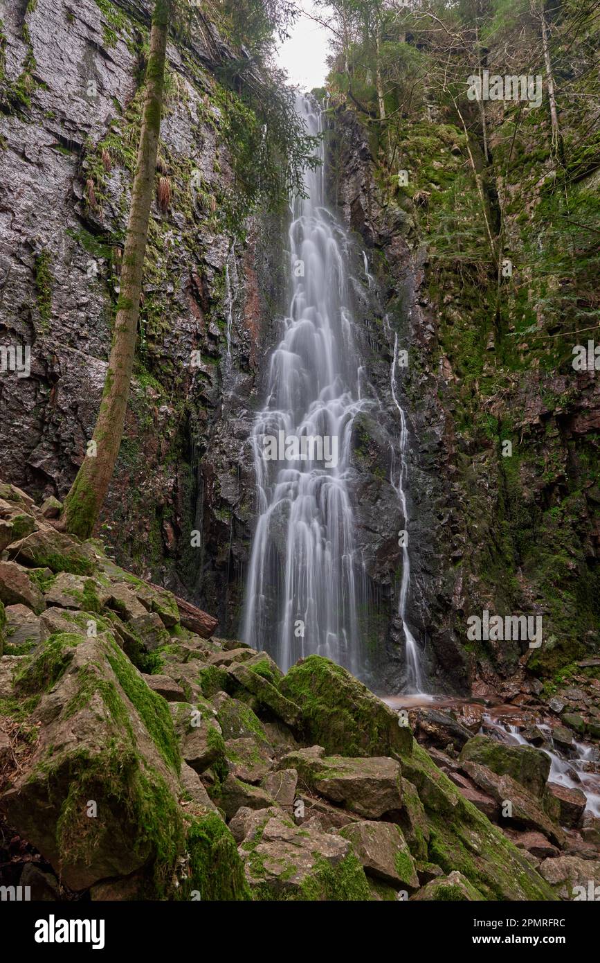 Burgbach Waterfall in coniferous forest falls over granite rocks into the valley near Bad Rippoldsau-Schapbach, Black Forest, Germany. Germany, Amazin Stock Photo