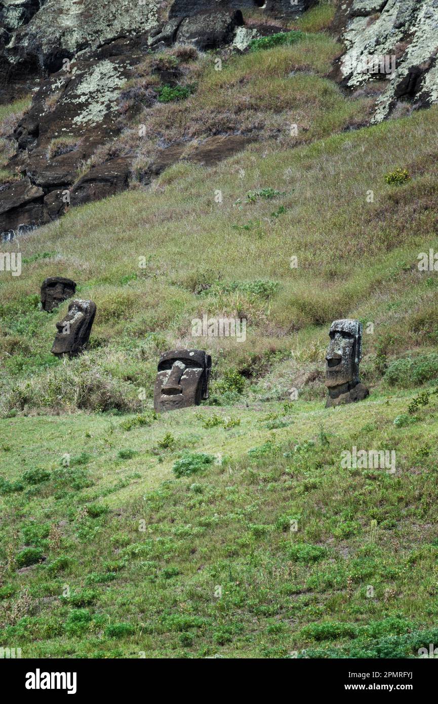 Moais on the flanks of the Rano Raraku volcano, Rapa Nui National Park, Easter Island, Chile, Unesco World Heritage Site Stock Photo