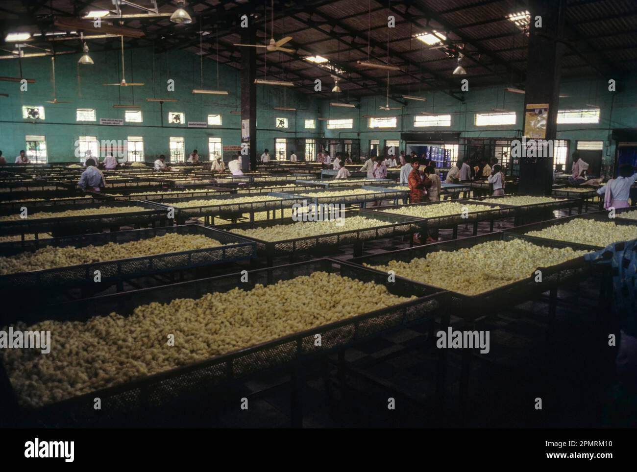 Cocoon market india hires stock photography and images Alamy