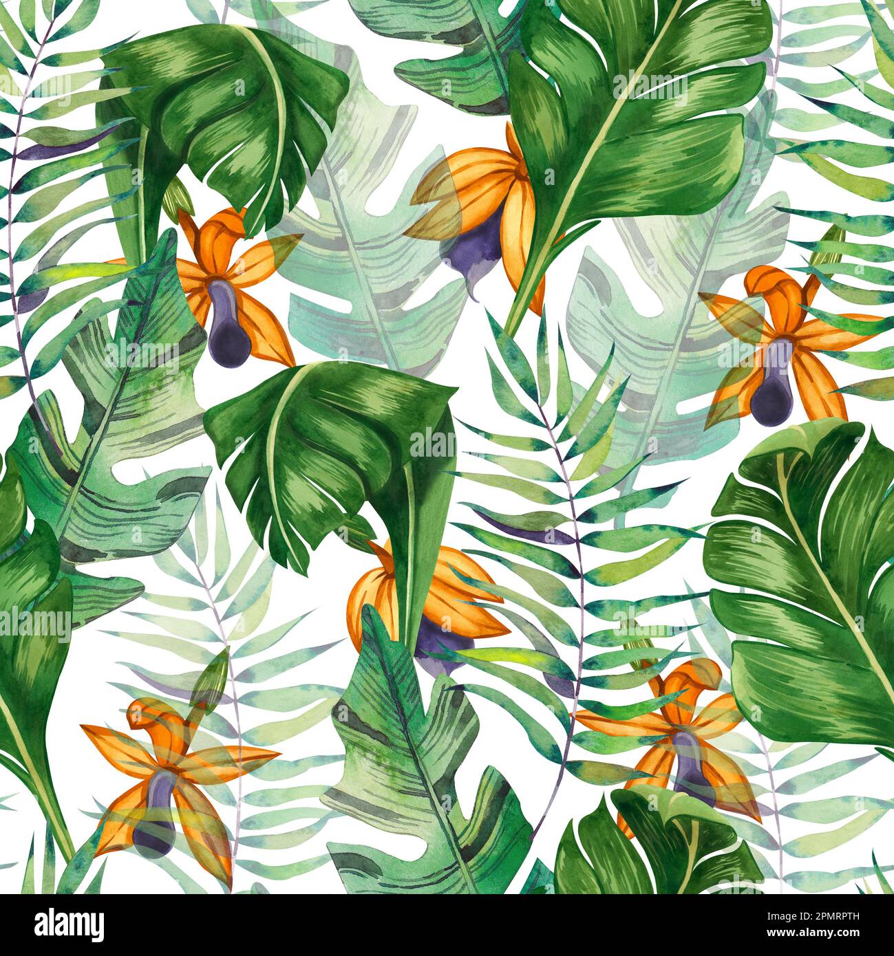 Seamless pattern on a white background. Tropical orange flowers and ...