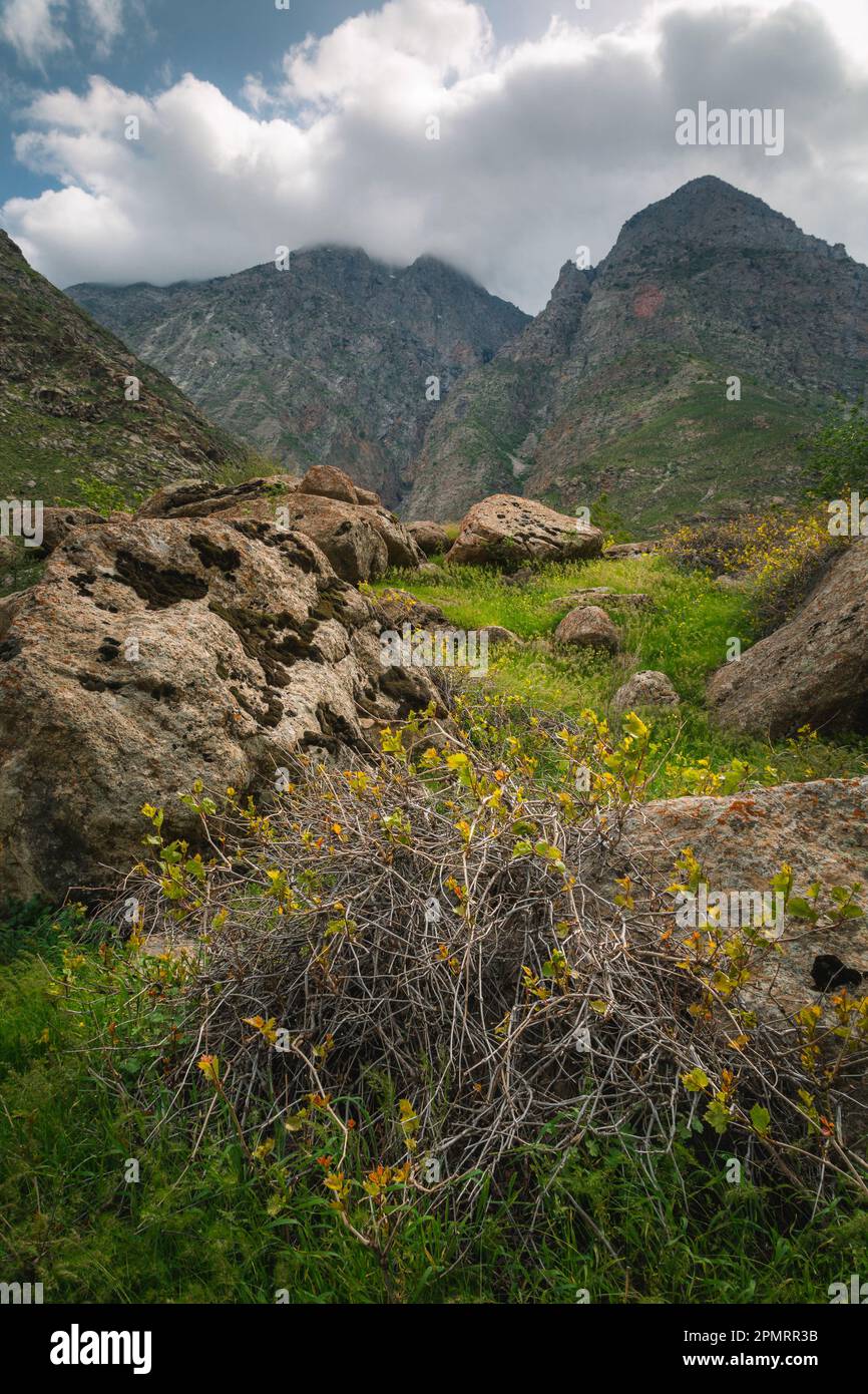 A view of beautiful landscape with trees, mountains and clouds