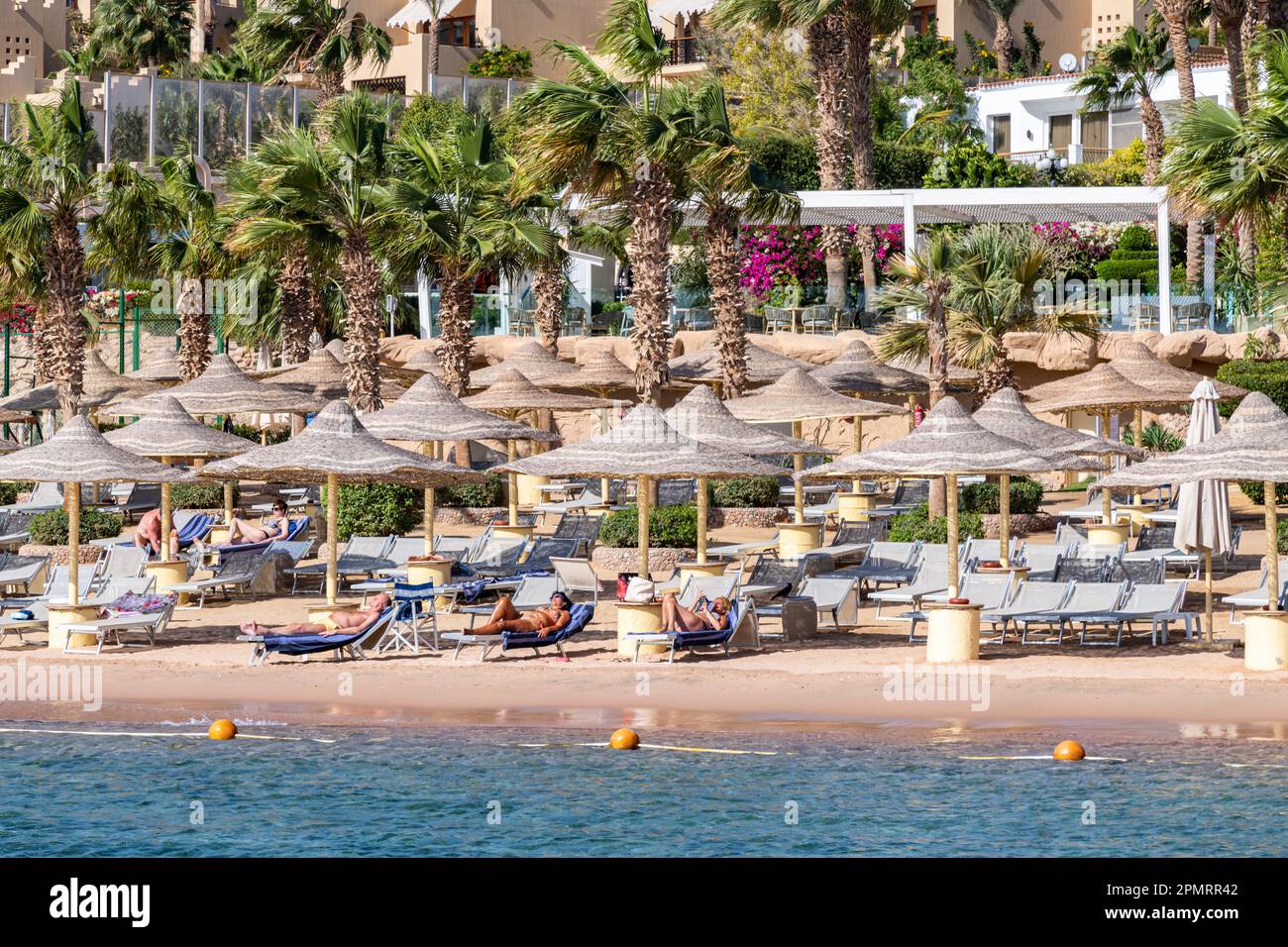 A view of the deckchairs on the beach of the Royal Savoy luxury hotel in Sharm el-Sheikh, Egypt Stock Photo