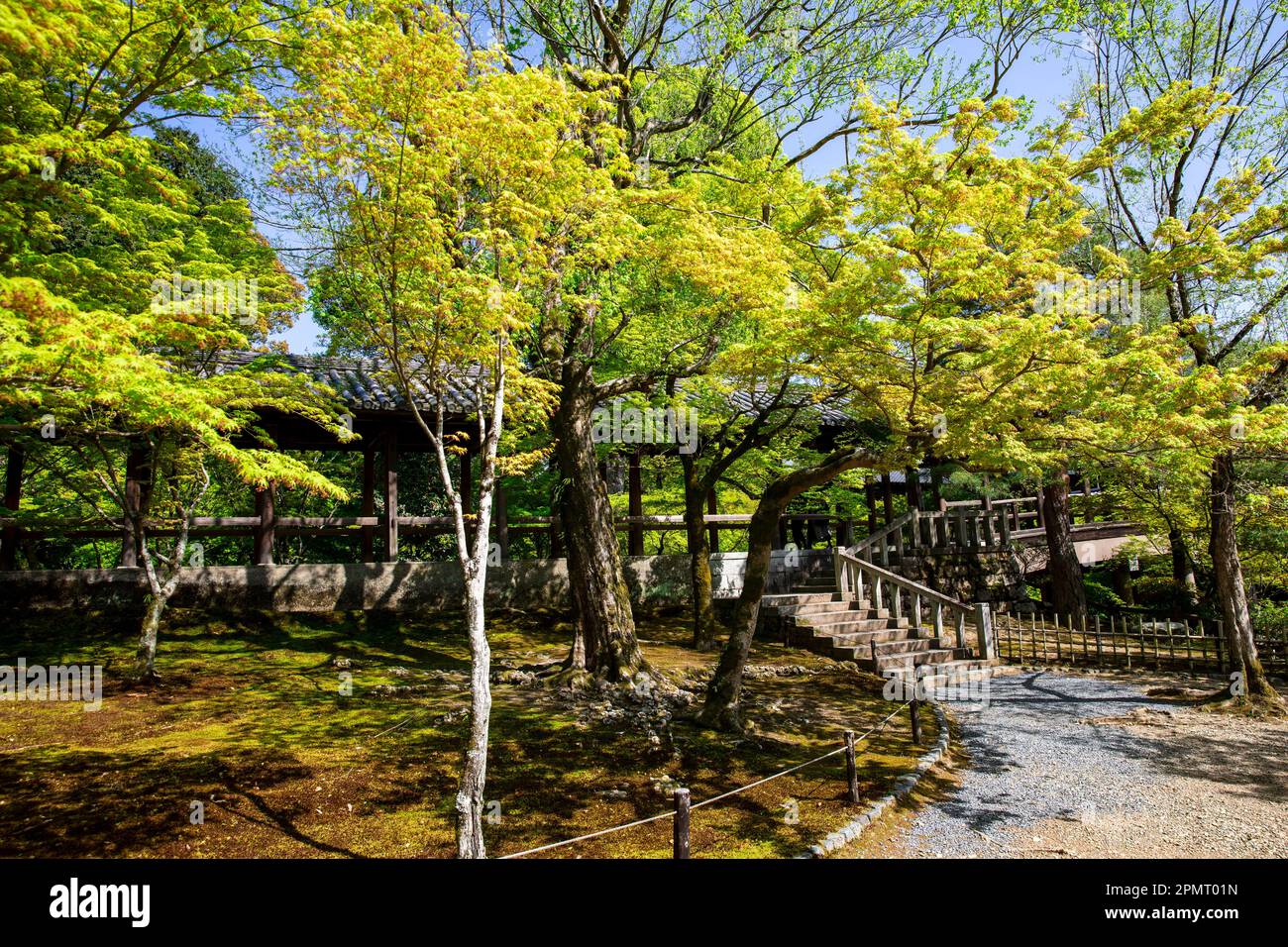 Tofuku-ji temple garden grounds Kyoto,Japan,Asia,2023 Stock Photo