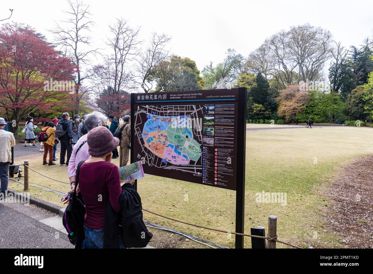 Tokyo Japan 2023 cheery blossom sakura season in Shinjuku park popular with locals and tourists,Japan,Asia Stock Photo