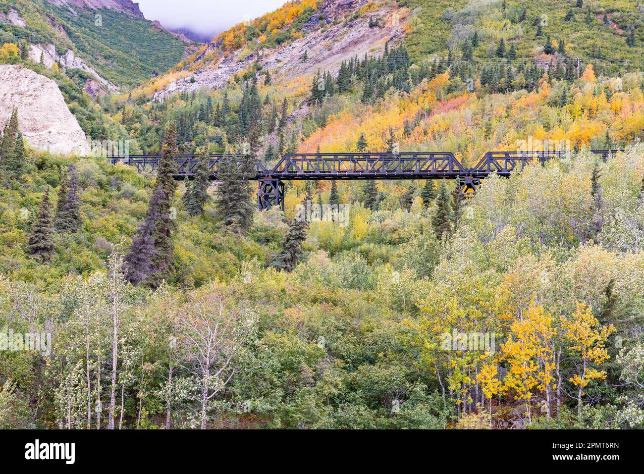 Autumn Railroad Bridge through the in mountains Denali National Park, Alaska Stock Photo