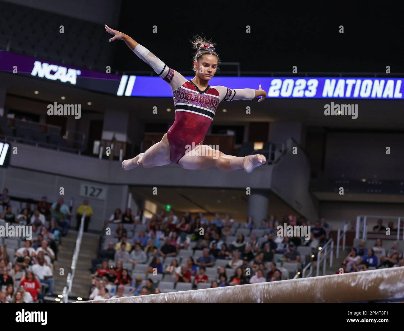 Fort Worth, TX, USA. 13th Apr, 2023. Oklahoma's Jordan Bowers competes on the balance beam during Semifinal II of the 2023 NCAA National Collegiate Women's Gymnastics Championships at Dickies Arena in Fort Worth, TX. Kyle Okita/CSM(Credit Image: © Kyle Okita/Cal Sport Media). Credit: csm/Alamy Live News Stock Photo