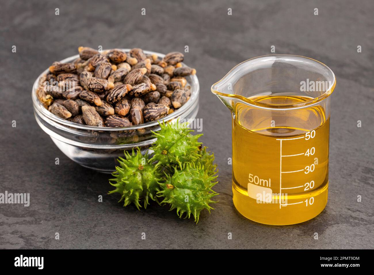 Ricinus communis seeds - Oil in laboratory container Stock Photo