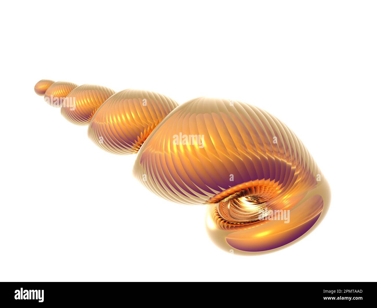 Gold conch shell Cut Out Stock Images & Pictures - Alamy