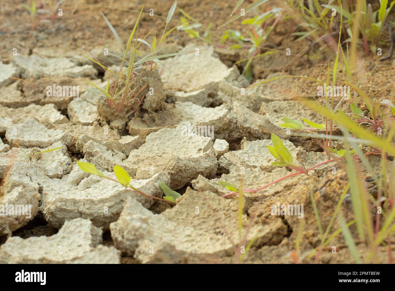 Infrared image of the earth surface soil crack due to the drought Stock ...