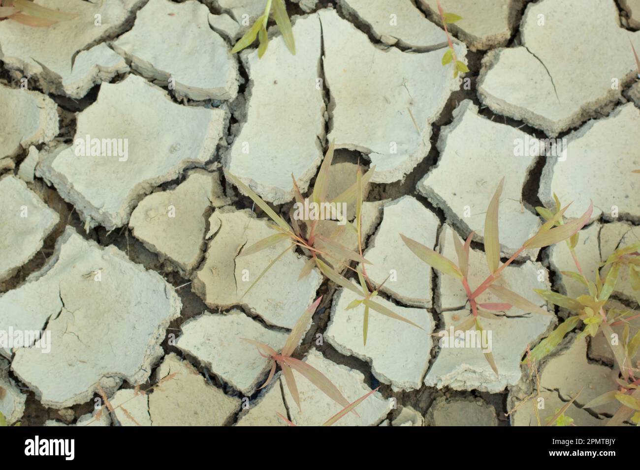 Infrared image of the earth surface soil crack due to the drought Stock ...