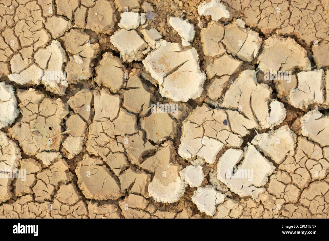 Infrared image of the earth surface soil crack due to the drought Stock ...
