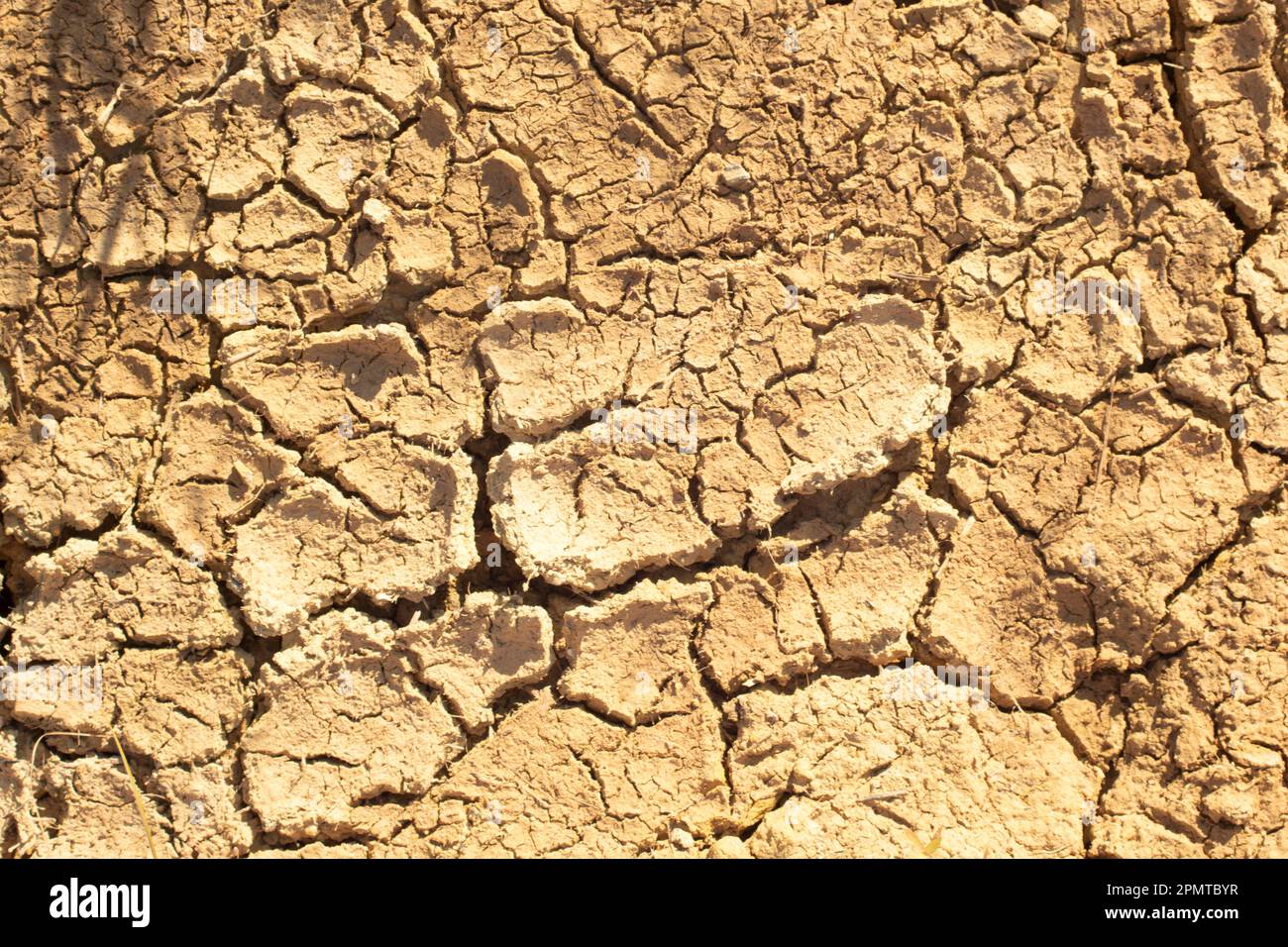 Infrared image of the earth surface soil crack due to the drought Stock ...