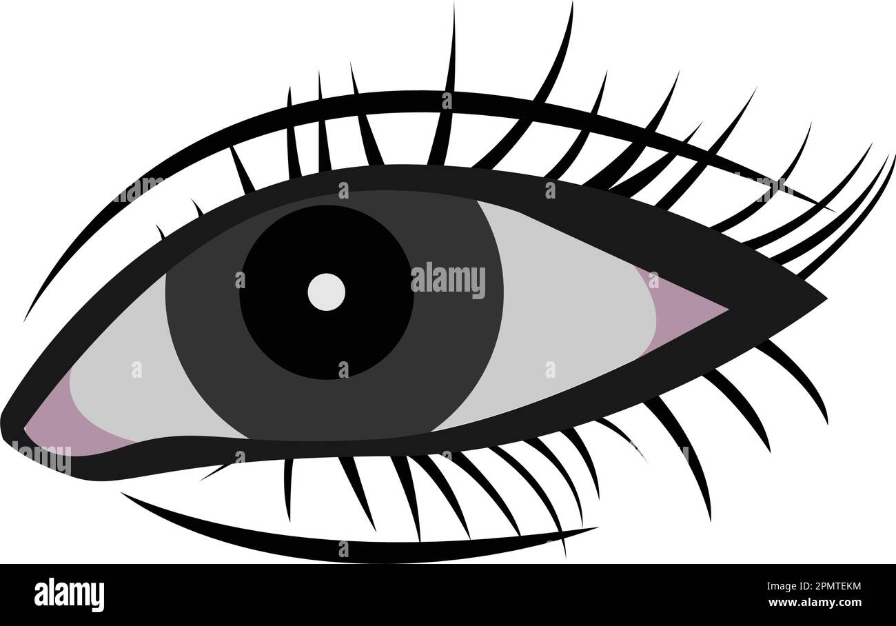 Eye icon vector vectors hi-res stock photography and images - Alamy