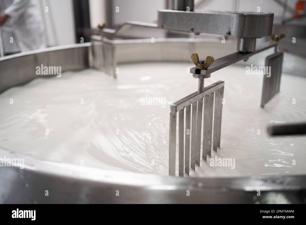 Tank full of milk in a cheese factory. Parmesan cheese production in