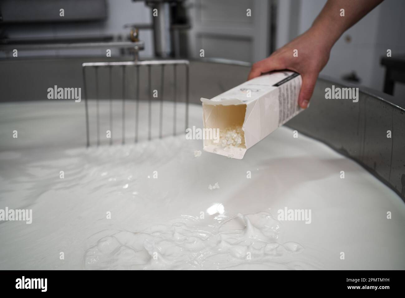 Cheesemaker measuring temperature with thermometer in a large steel tank  full of milk Stock Photo - Alamy