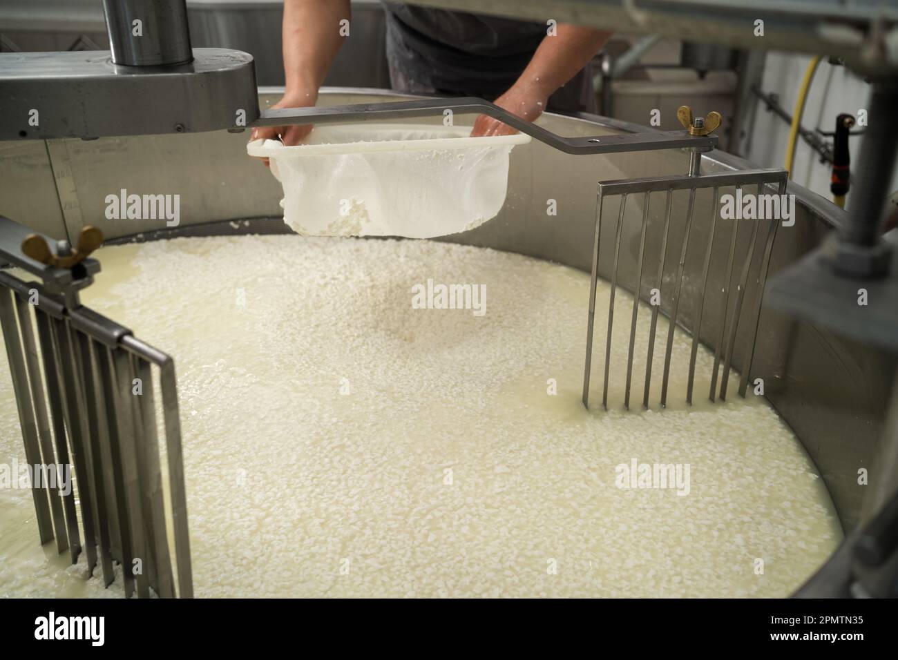 cheese production and storage of dairy. Cheese factory employee