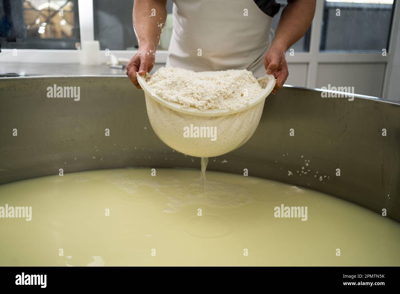 cheese production process, cheesemaker drain curd from whey. handmade