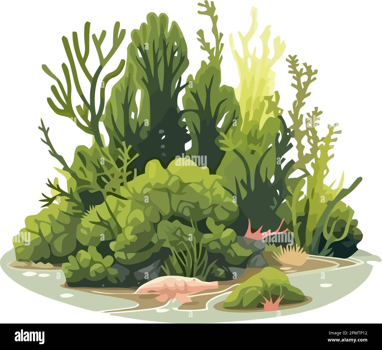 What Are Aquatic Plants And Animals At Emily Wedge Blog What Are Aquatic Plants And Animals At Emily Wedge Blog