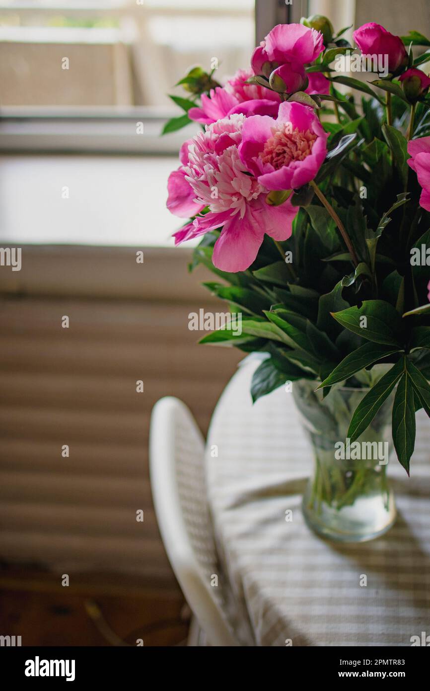 bouquet of pink peonies in a vase on the table. Stock Photo