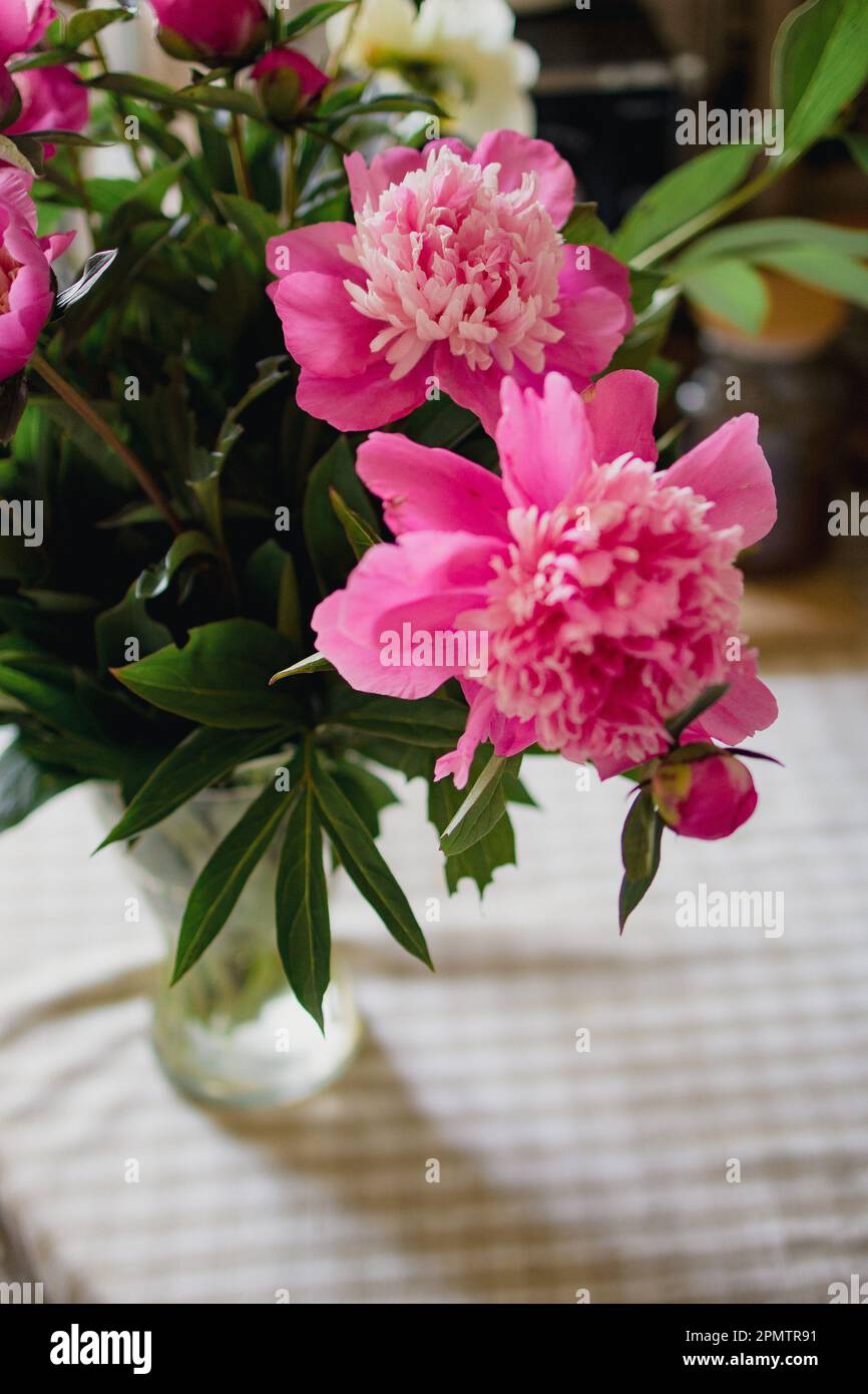 bouquet of pink peonies in a vase on the table. Stock Photo