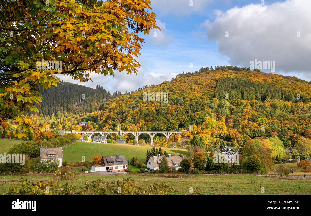 Panoramic image of autumnal landscape close to Willingen; Upland; Germany Stock Photo