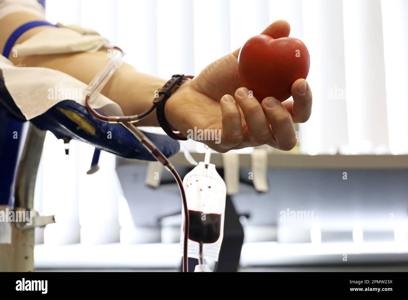 Man blood donor in chair during donation with red bouncy ball in hand, selective focus. Concept of donorship, transfusion, health care Stock Photo