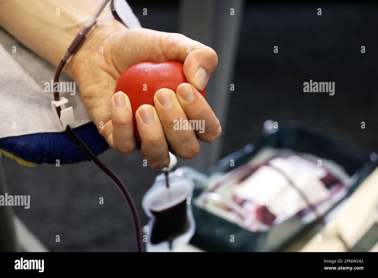 Man blood donor in chair during donation with red bouncy ball in hand, selective focus. Concept of donorship, transfusion, health care Stock Photo