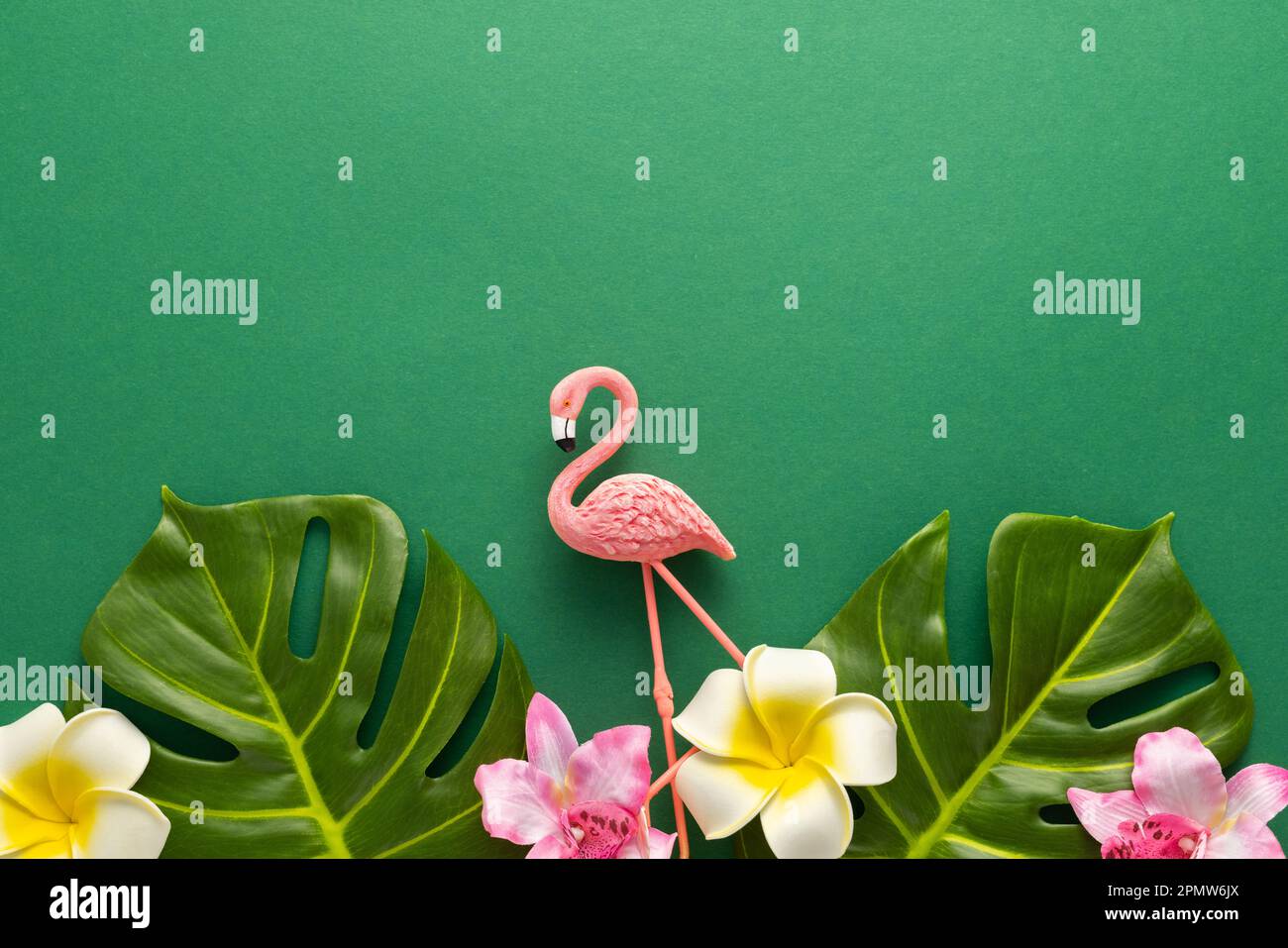 Exotic jungle summer frame. Summer beach party concept. Pink flamingo, tropical leaf monstera and orchid flowers on green background. Flat lay, copy s Stock Photo