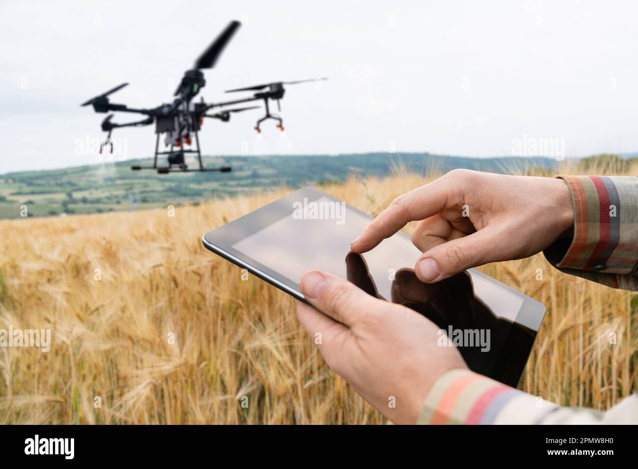 Drone sprayer flies over the wheat field. Smart farming and precision agriculture. High quality photo Stock Photo