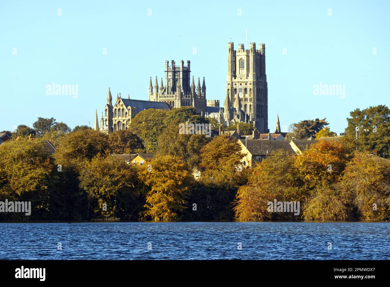 Autumnal Trees in front of Ely Cathedral Stock Photo - Alamy