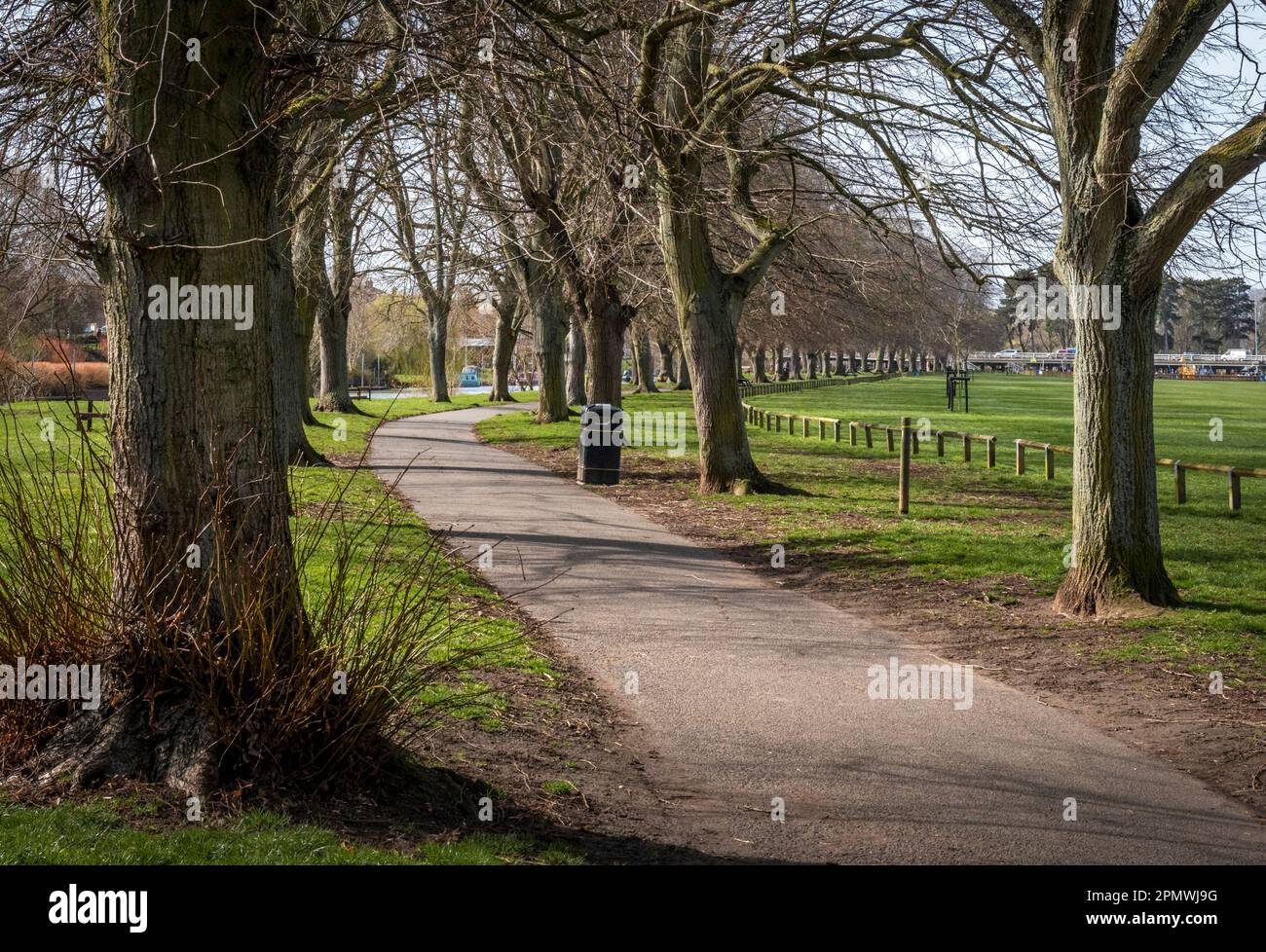 Avenue of trees,Evesham, Worcestershire, UK Stock Photo Alamy