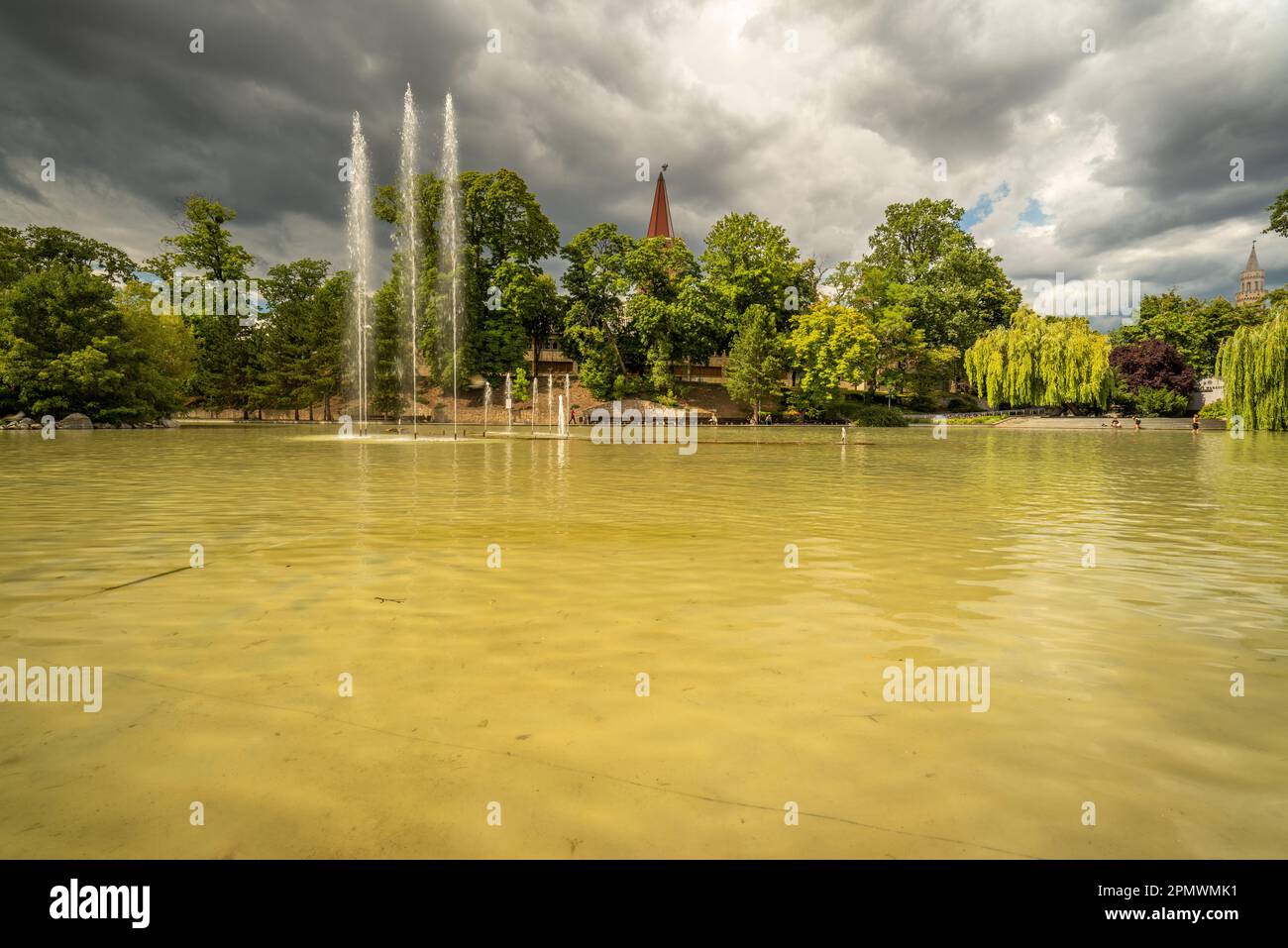 A tranquil scene of a body of water surrounded by lush greenery in ...