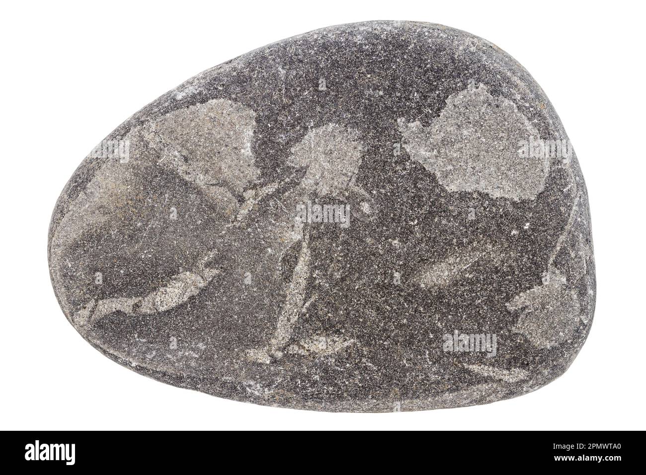 Top view of single black pebble isolated on white background. Stock Photo