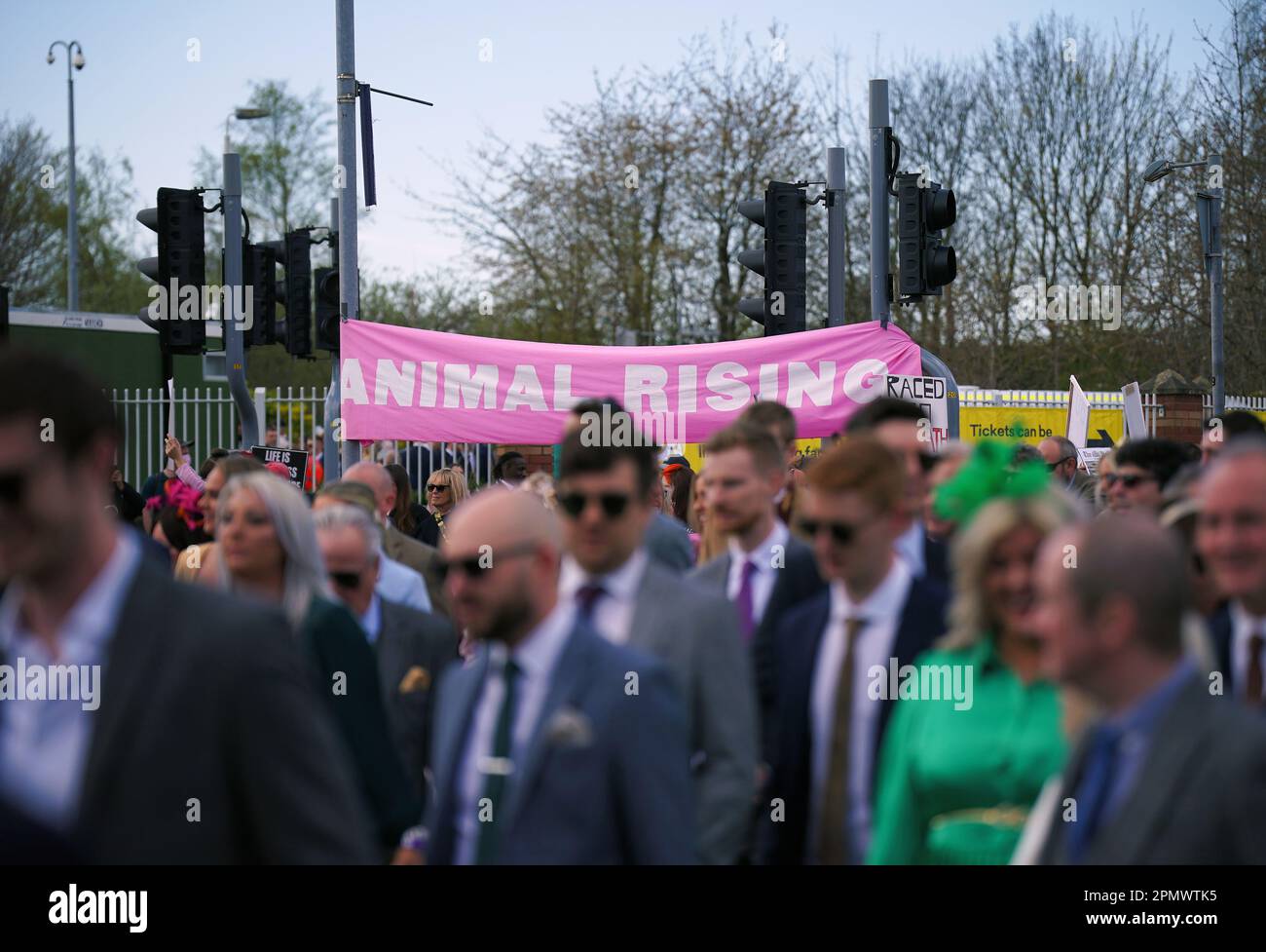 Animal rising aintree hi-res stock photography and images - Alamy