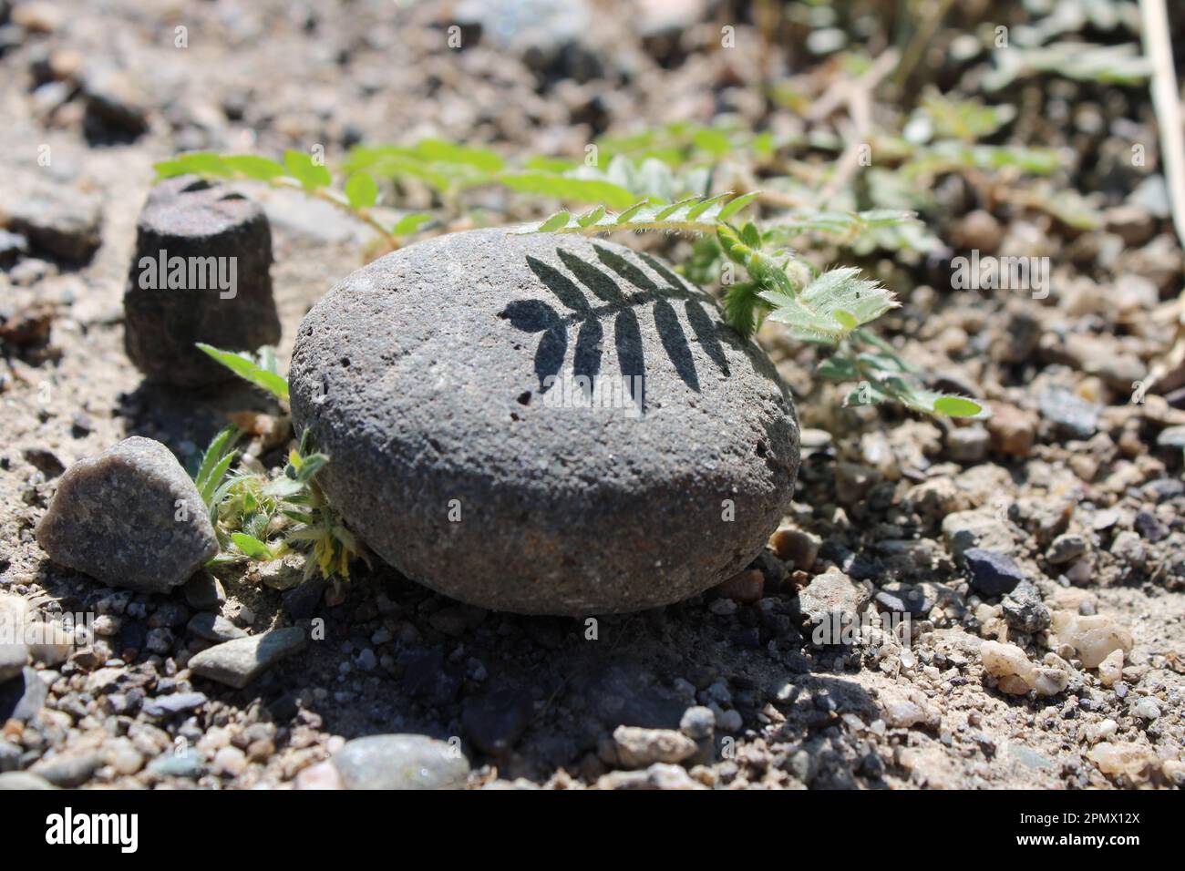 A high-resolution closeup of a gray stone with a contrasting shadow of ...