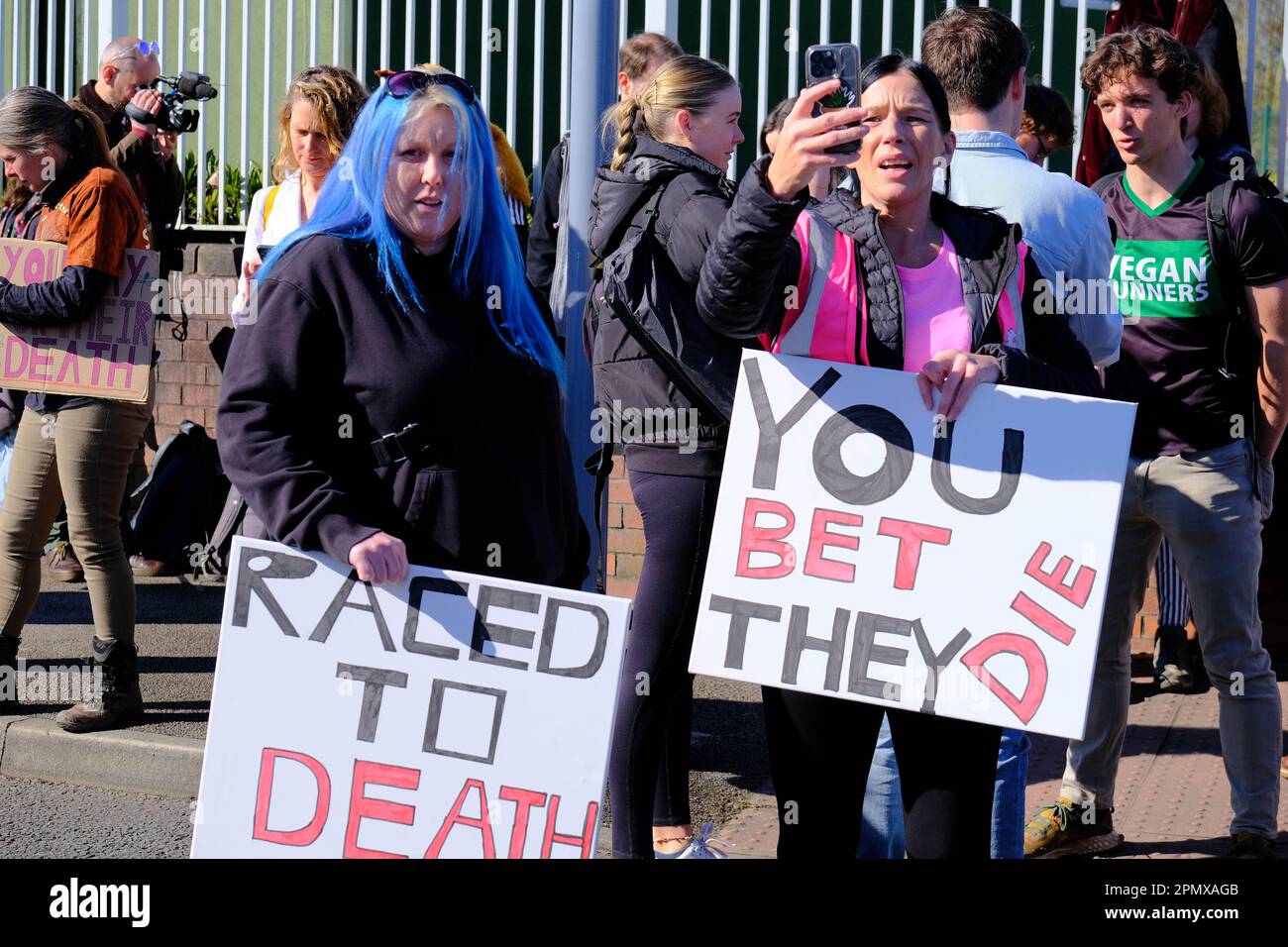Animal Rising Protest Hill sixteen horse hi-res stock photography and images - Alamy