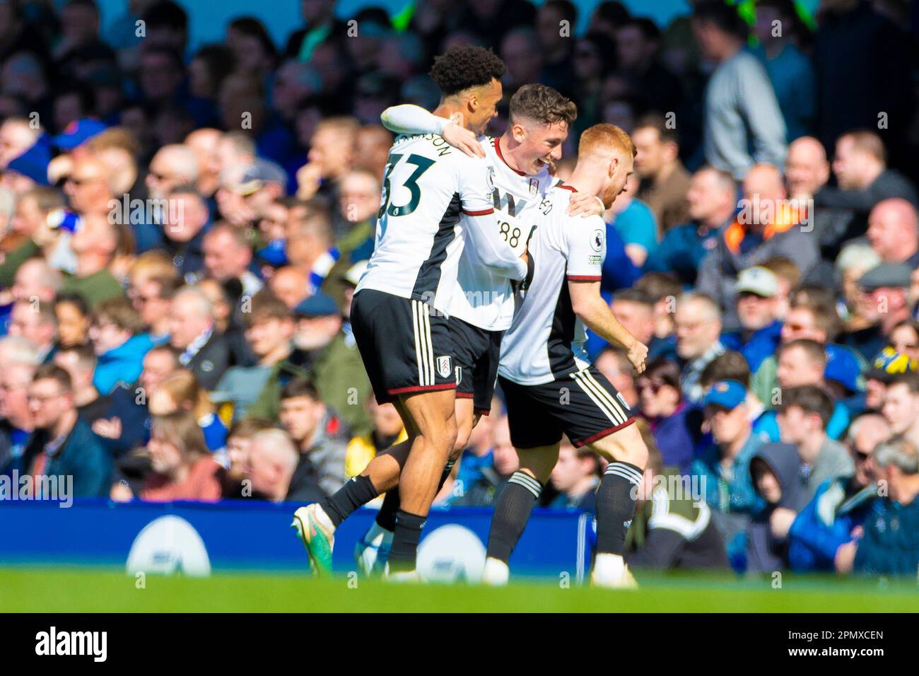 Harrison Reed #6 of Fulham celebrates his goal with team-mates during the Premier League match between Everton and Fulham at Goodison Park, Liverpool on Saturday 15th April 2023. (Photo: Mike Morese | MI News) Credit: MI News & Sport /Alamy Live News Stock Photo