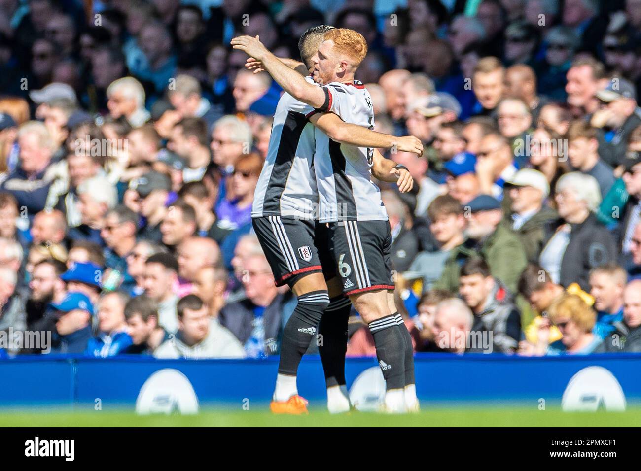 Harrison Reed #6 of Fulham celebrates his goal with team-mates during the Premier League match between Everton and Fulham at Goodison Park, Liverpool on Saturday 15th April 2023. (Photo: Mike Morese | MI News) Credit: MI News & Sport /Alamy Live News Stock Photo