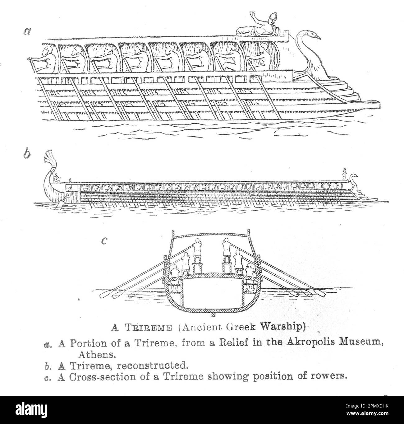 Schematic of a Trireme, an ancient type of galley used by the ancient maritime civilizations of the Mediterranean Sea, especially the Phoenicians, ancient Greeks and Romans. Stock Photo