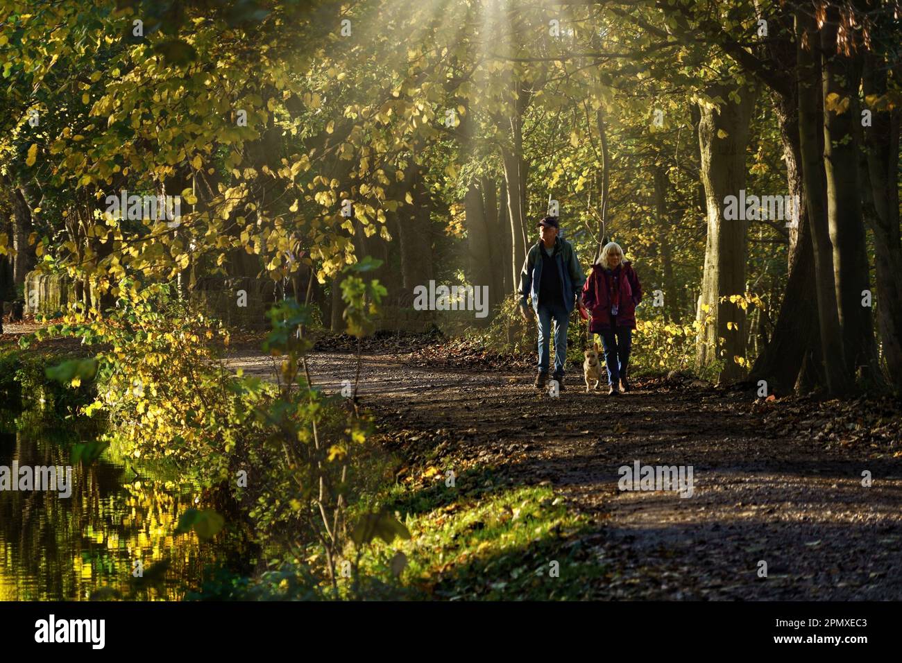 A man and woman walk along a footpath with their dog, surrounded by leafy trees, next to the Leeds and Liverpool Canal in Shipley, Yorkshire, UK. Stock Photo