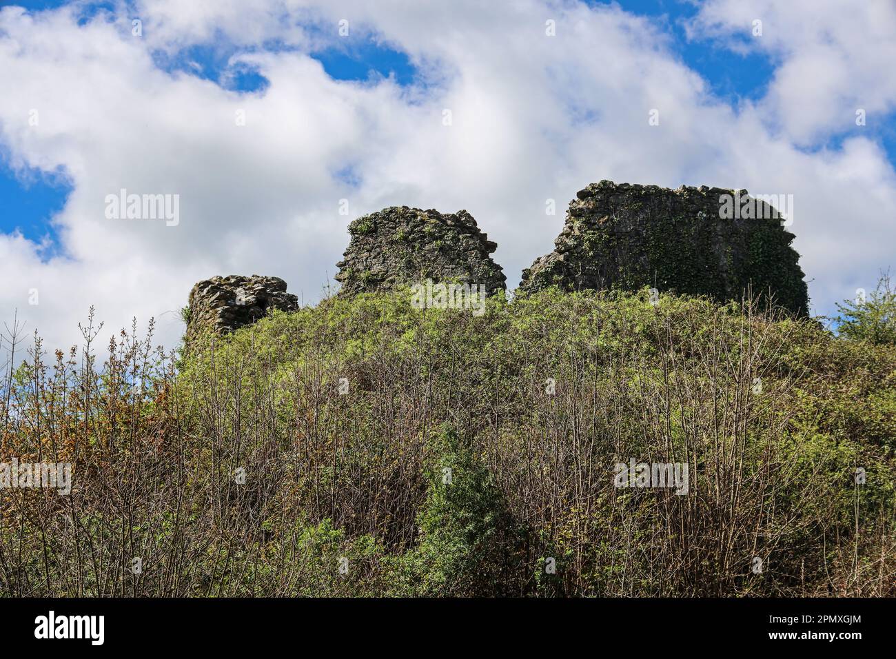Plympton Castle in Pympton St Maurice, Plymouth, Devon Stock Photo Alamy