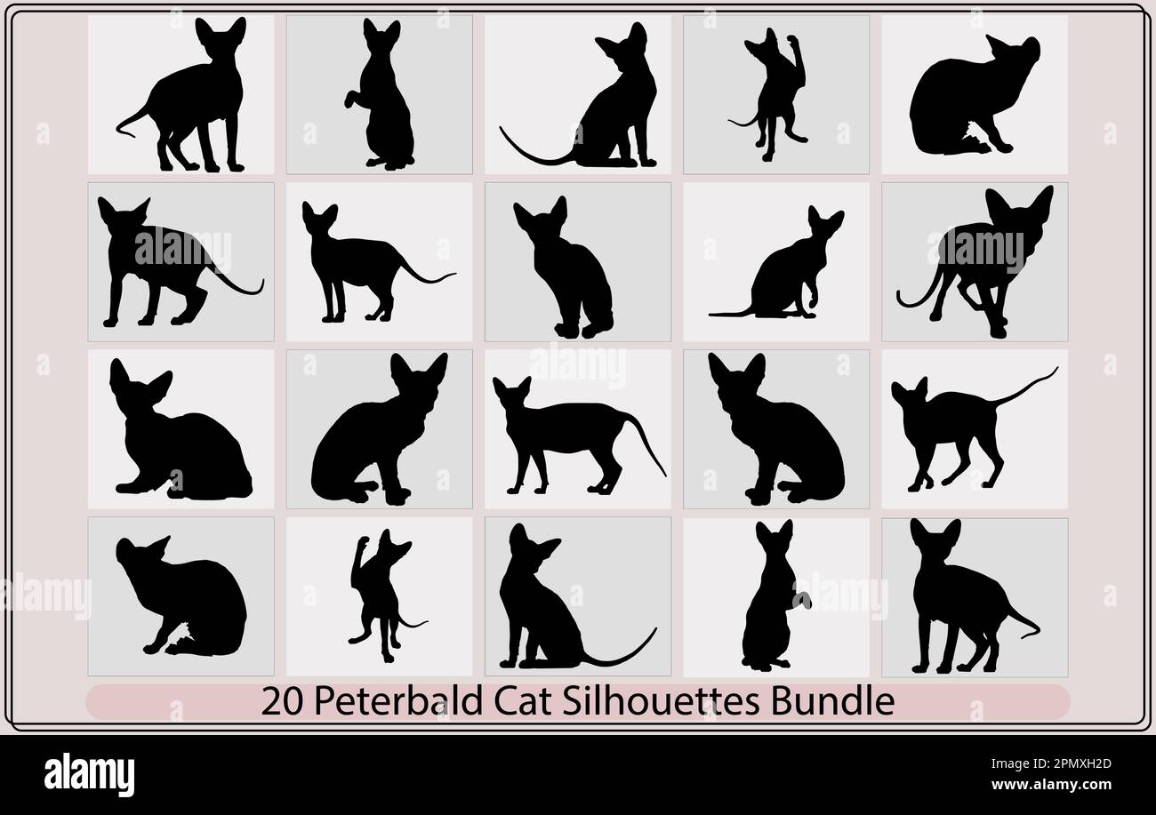 Cat Head Shape Icon. Black Silhouette Pet Animal Kitty Feline