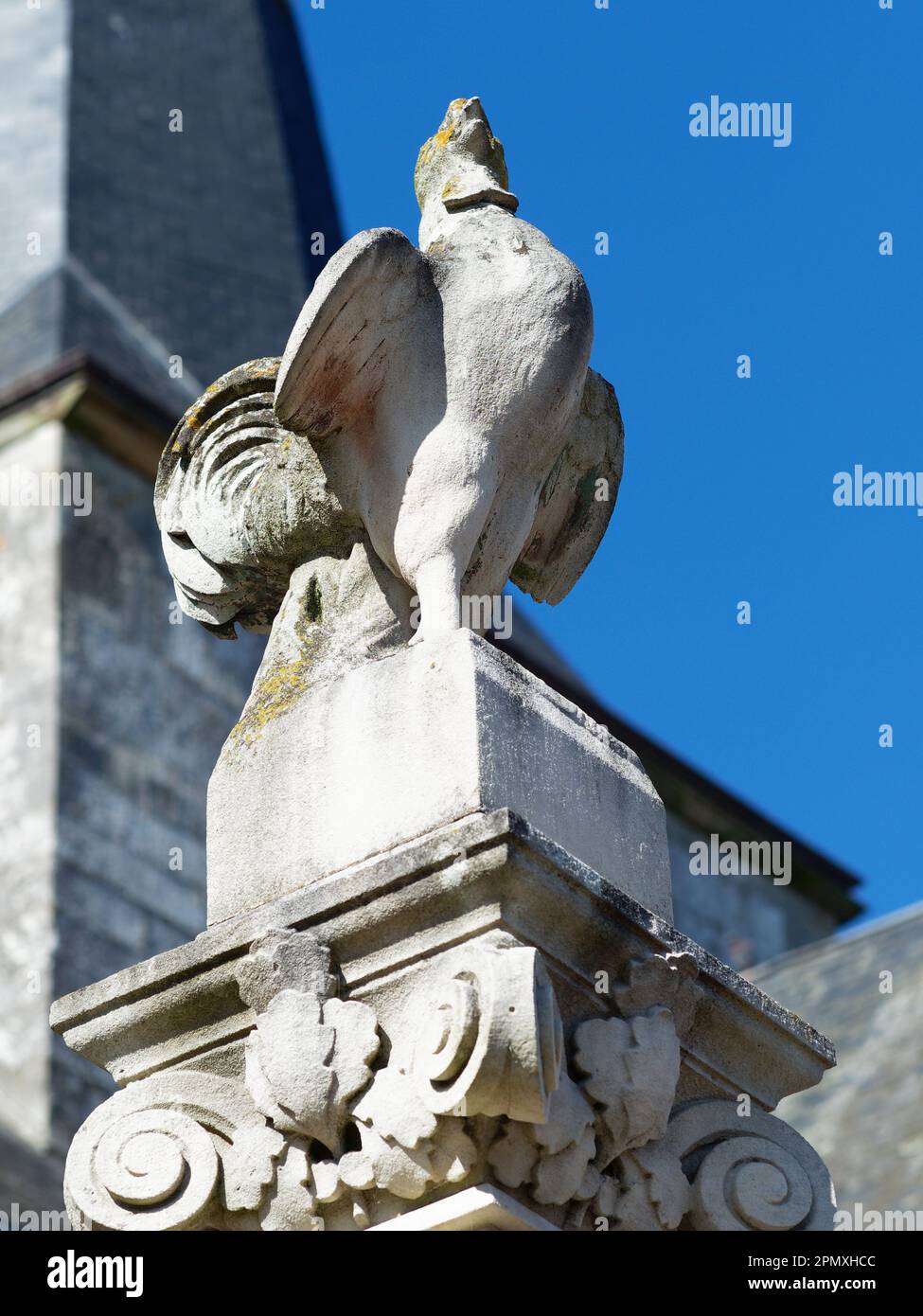 OLYMPUS DIGITAL CAMERA Stock Photo